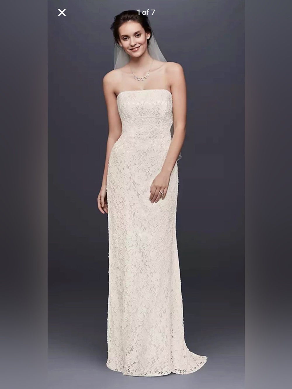 Galina Style: S8551, Size 6 Allover Beaded Lace Sheath Wedding Gown Dress Ivory
